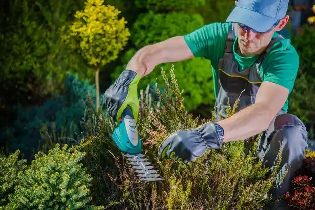 landscaping services Robards